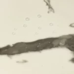 Vinilanato Autoadhesivo Decorativo 30x60 Vetun Pack x 10 Lifewall 1.8 m² - Imagen 4